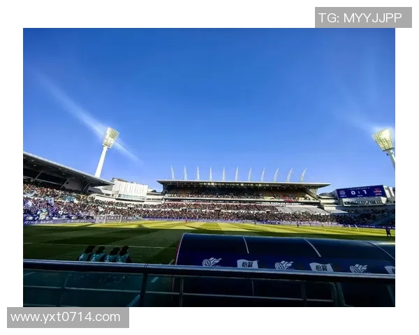 全球足球明星选手全景介绍及其辉煌成就与职业生涯回顾